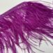 magenta-2