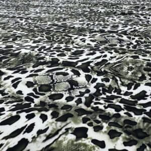 Crep subtire animal print verde