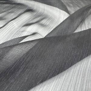 Organza creponata neagra